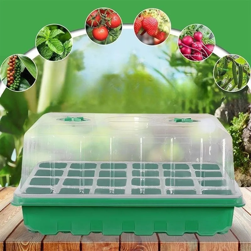 Food Storage Plants - Kit Vassoio per Semina da 1/5