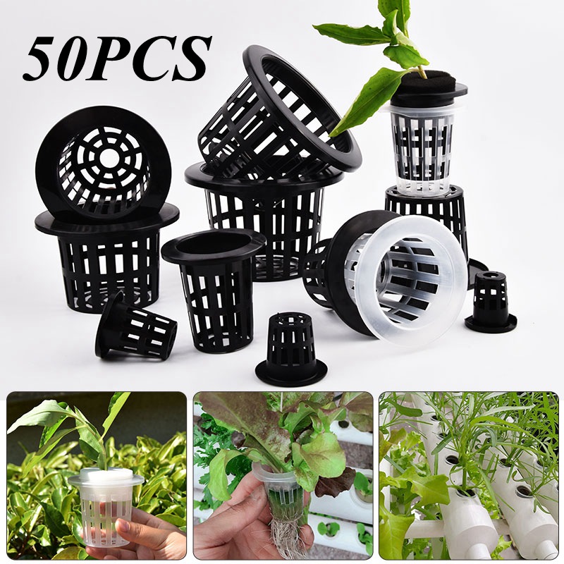 Food Storage Plants - 50 Pezzi Vasi per Coltivazione Idroponica