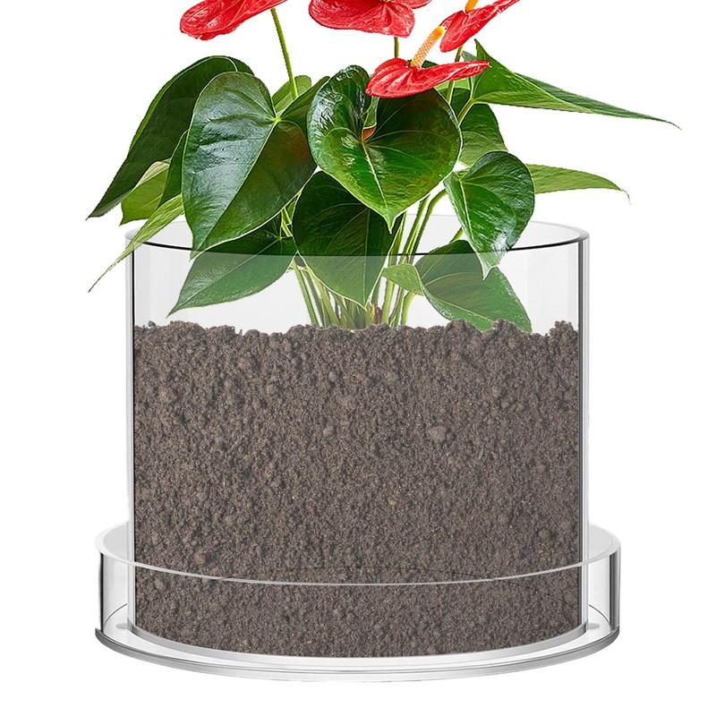 Food Storage Plants - Vasi per piante trasparenti con drenaggio