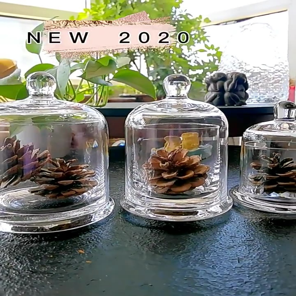 Food Storage Plants - Barattolo in Vetro per Fiori Eterni,