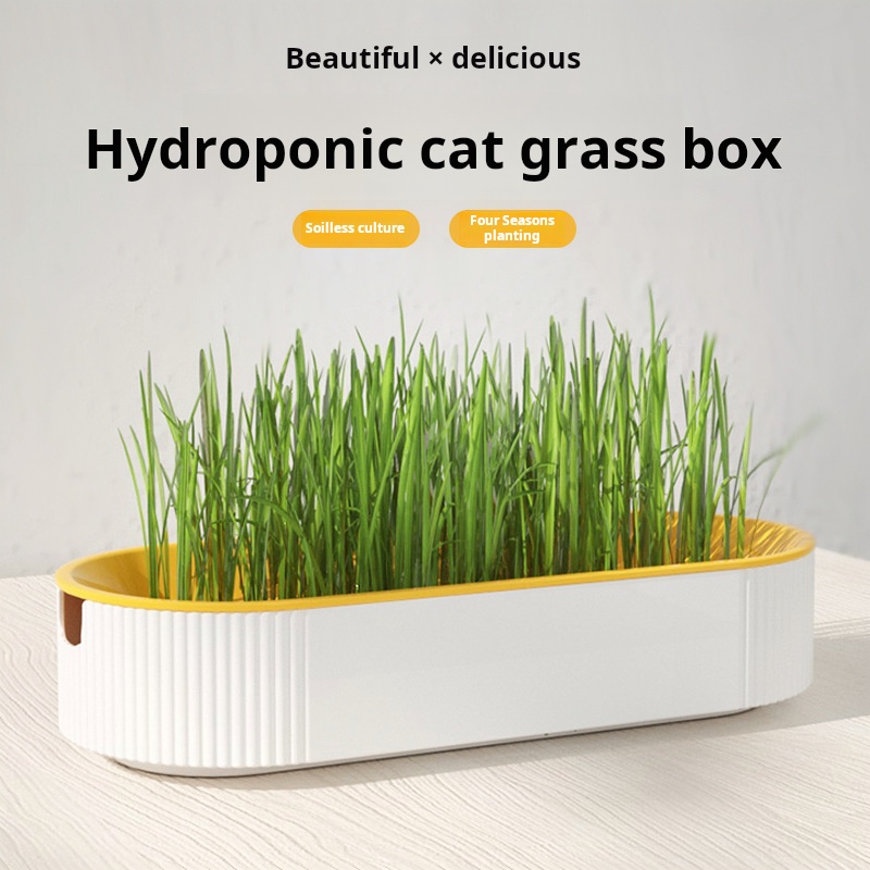 Set per la Coltivazione Idropo - Food Storage Plants recensione e prezzo