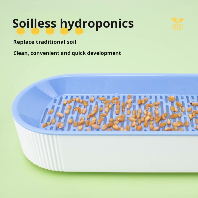 Set per la Coltivazione Idropo - Food Storage Plants recensione e prezzo