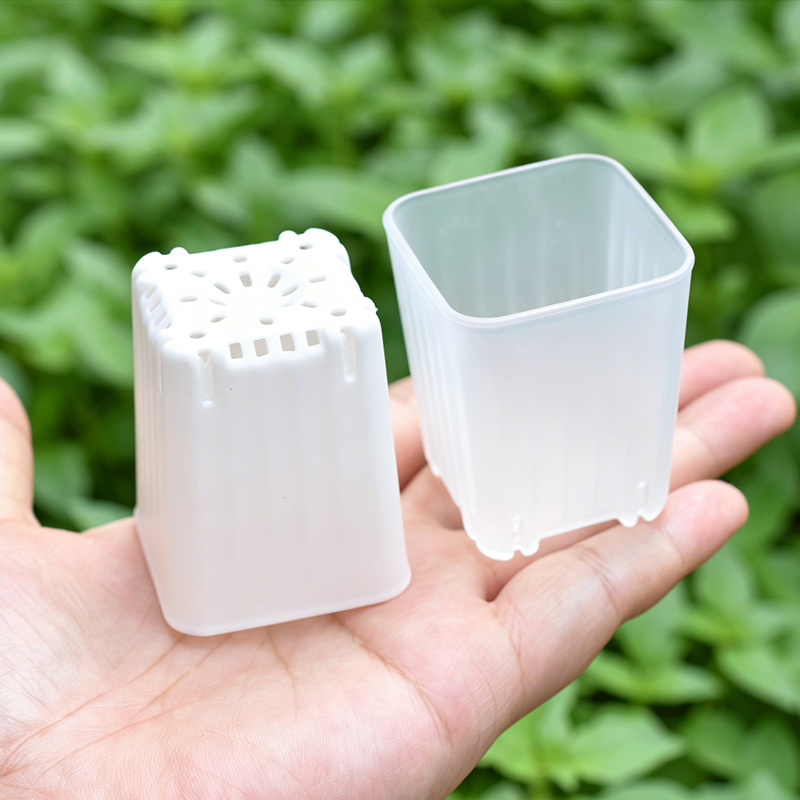 50-100 Pezzi Vaso Quadrato Min - Food Storage Plants recensione e prezzo