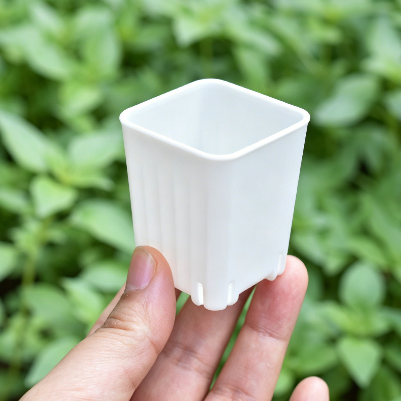 50-100 Pezzi Vaso Quadrato Min - Food Storage Plants recensione e prezzo