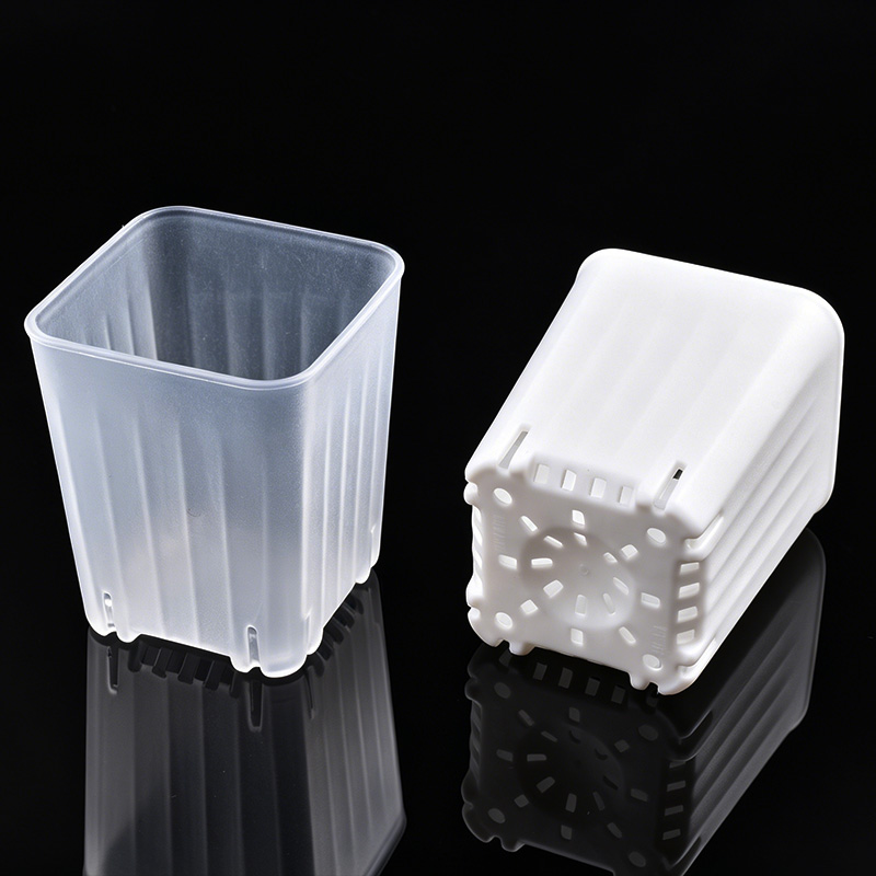 50-100 Pezzi Vaso Quadrato Min - Food Storage Plants recensione e prezzo