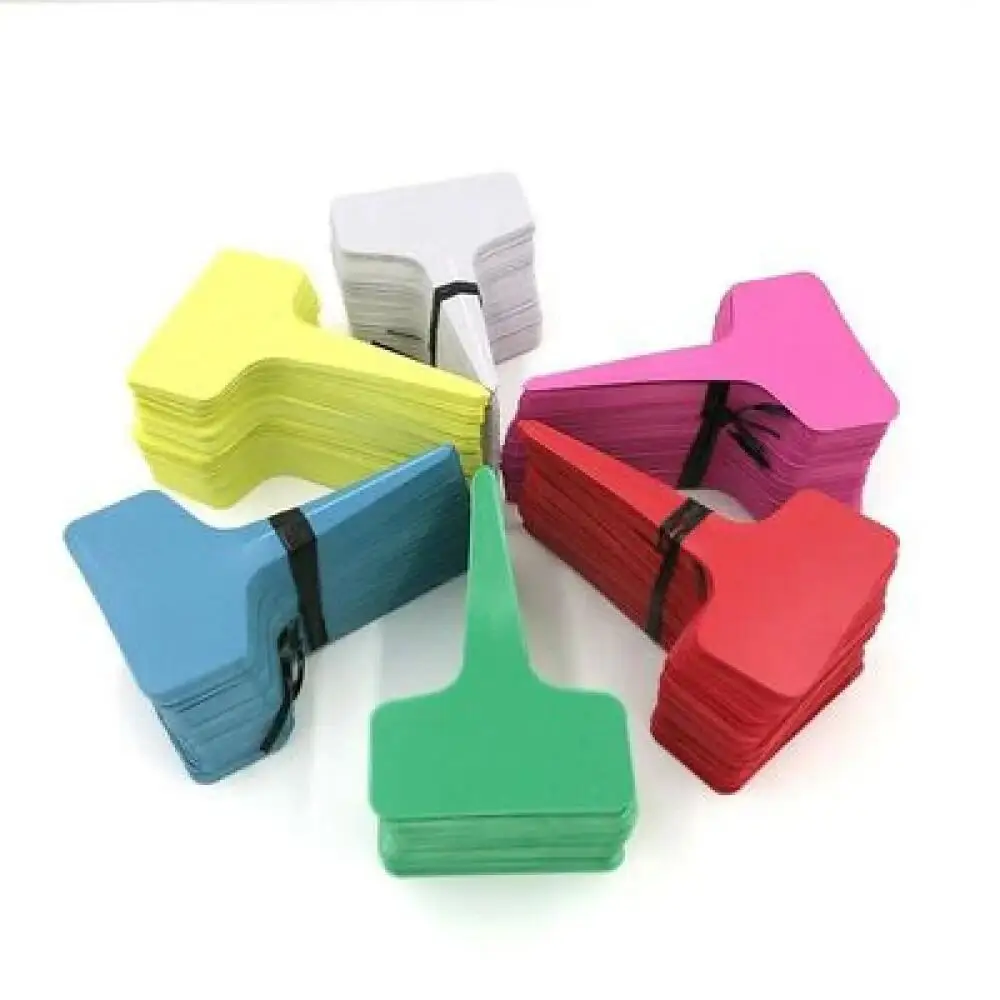 25-200 etichette per piante in - Food Storage Plants recensione e prezzo