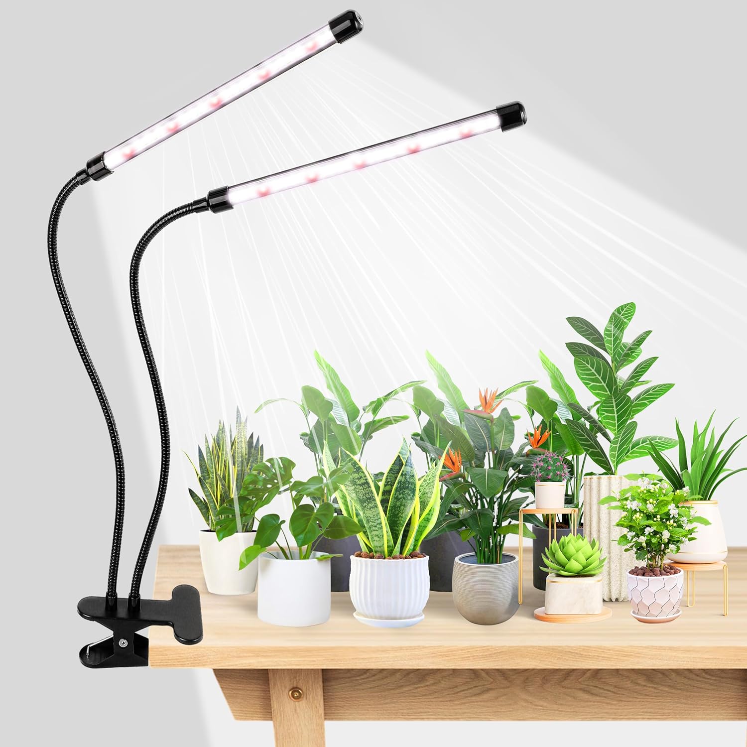 KEBINCPLED Luce LED per la Cre - Food Storage Plants recensione e prezzo
