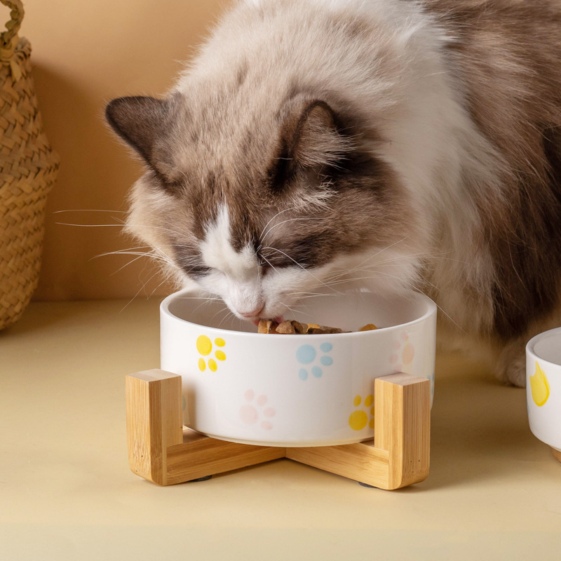 Ciotola per cani in ceramica c - Food Storage Safety recensione e prezzo