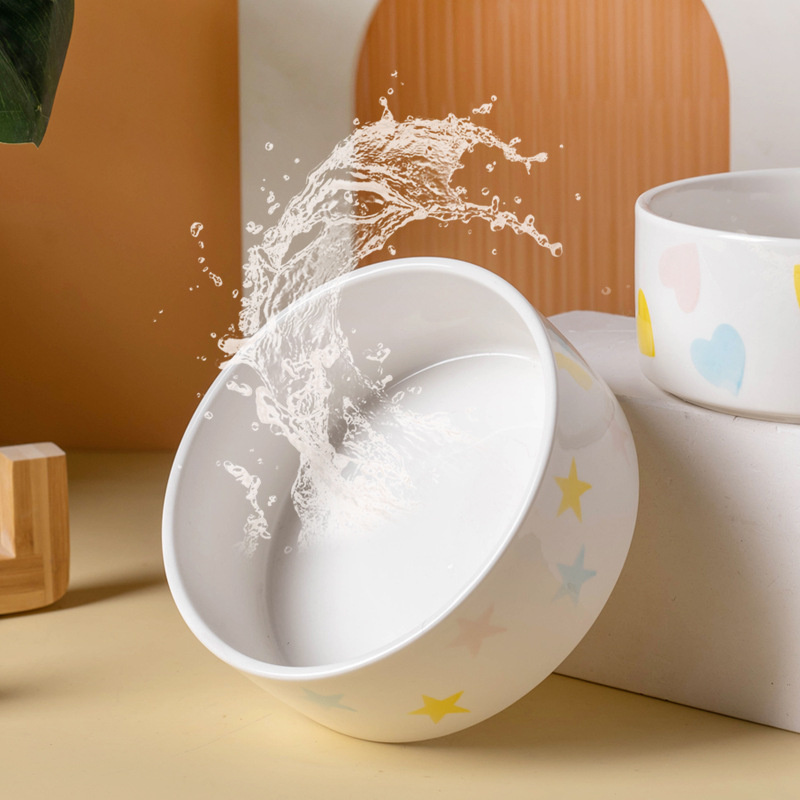 Ciotola per cani in ceramica c - Food Storage Safety recensione e prezzo
