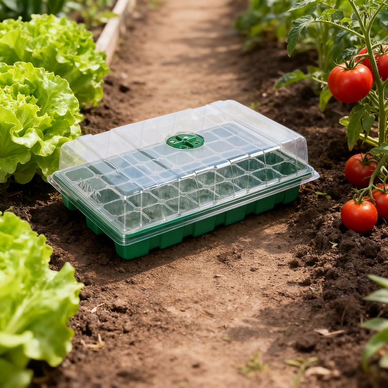 Kit Vassoio per Semina da 1/5  - Food Storage Plants recensione e prezzo