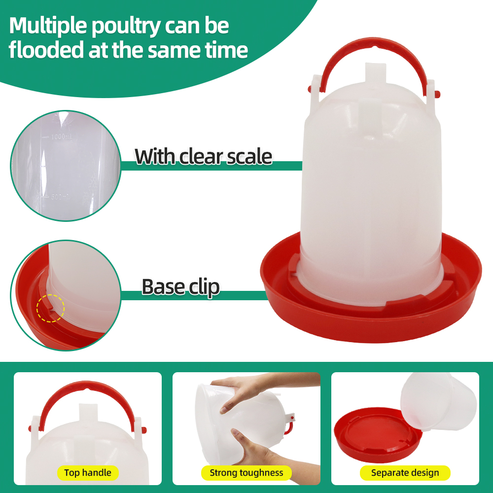 1.5kg 1.5L Pollame Alimentator - Portion Control Container recensione e prezzo