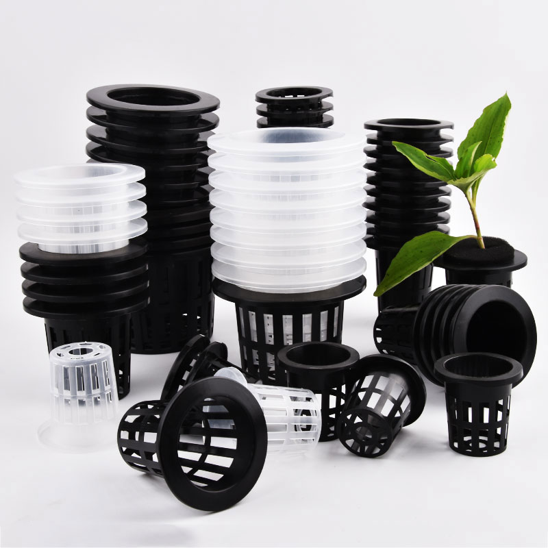 50 Pezzi Vasi per Coltivazione - Food Storage Plants recensione e prezzo
