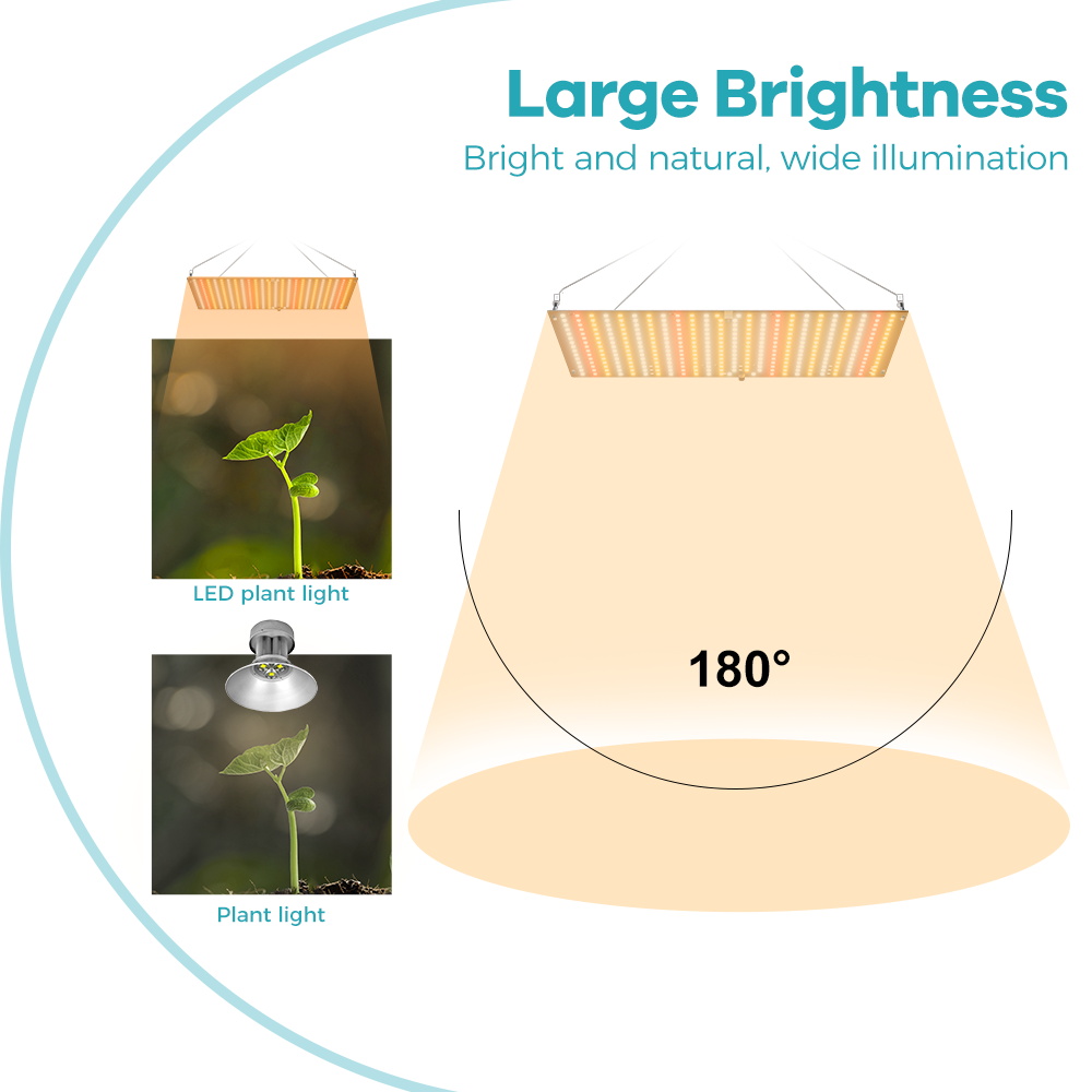 350W LED Pianta Gorw Luce Spet - Food Storage Plants recensione e prezzo