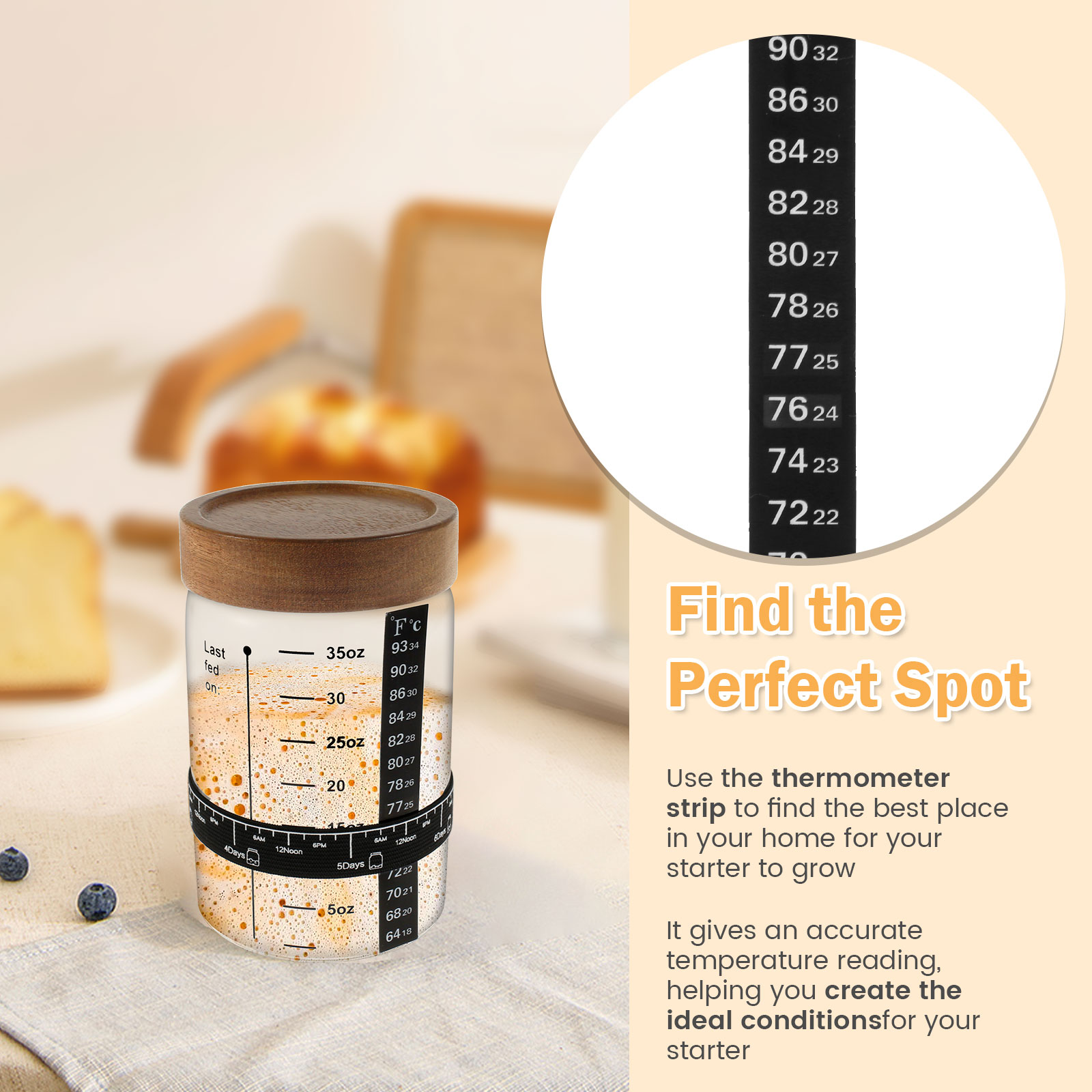Kit barattolo di avviamento a  - Food Storage Containers Glass recensione e prezzo