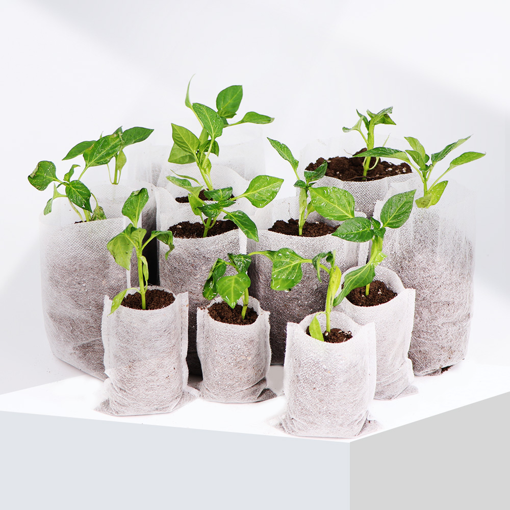 Tessuto non tessuto biodegrada - Food Storage Plants recensione e prezzo